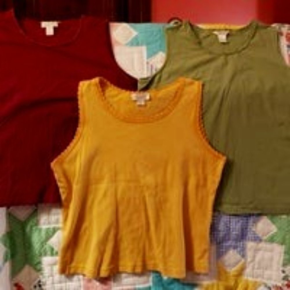 Christopher Banks XL lot tank top